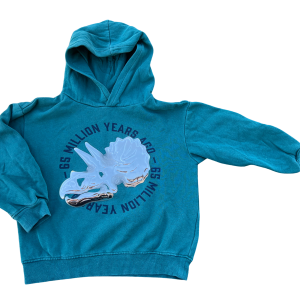 Pullover mit Kapuze Dinosaurier
