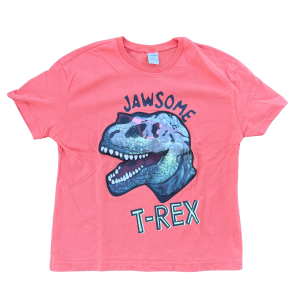 Shirt Dinosaurier
