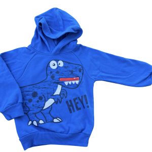 Pullover mit Kapuze